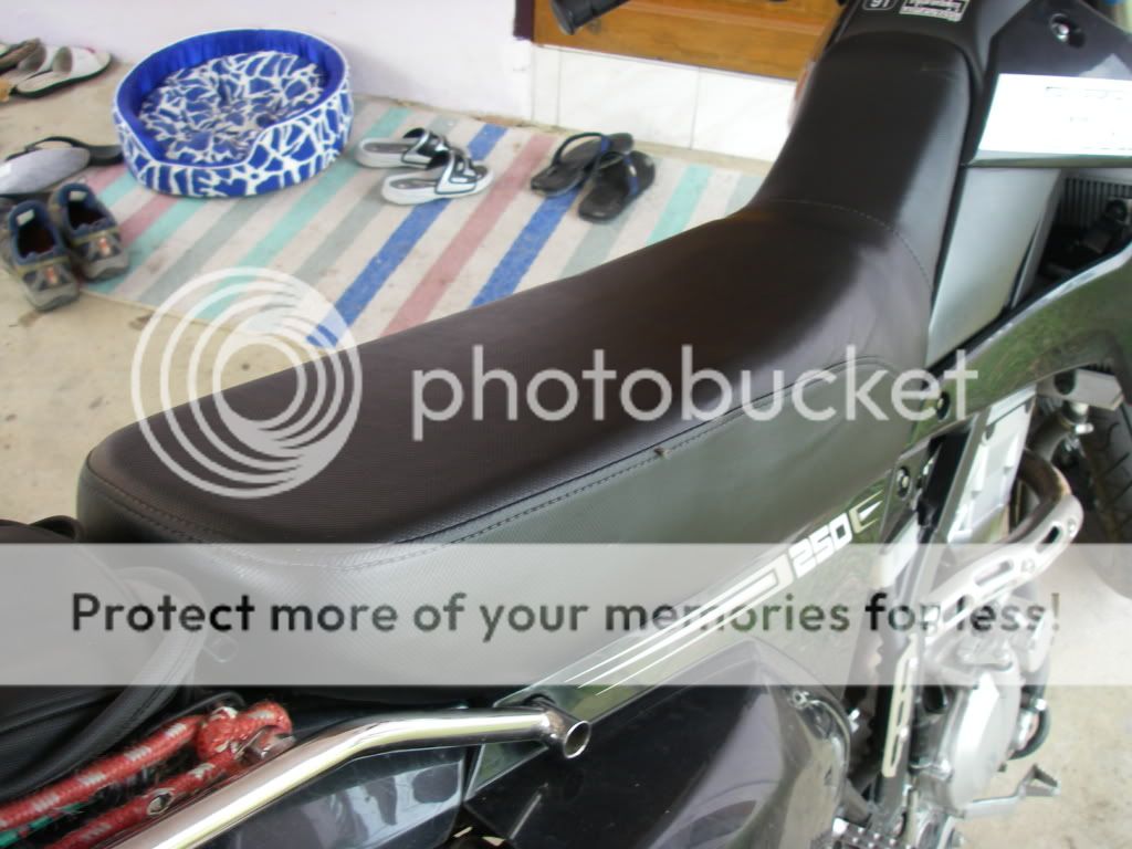 IMGP2569.jpg