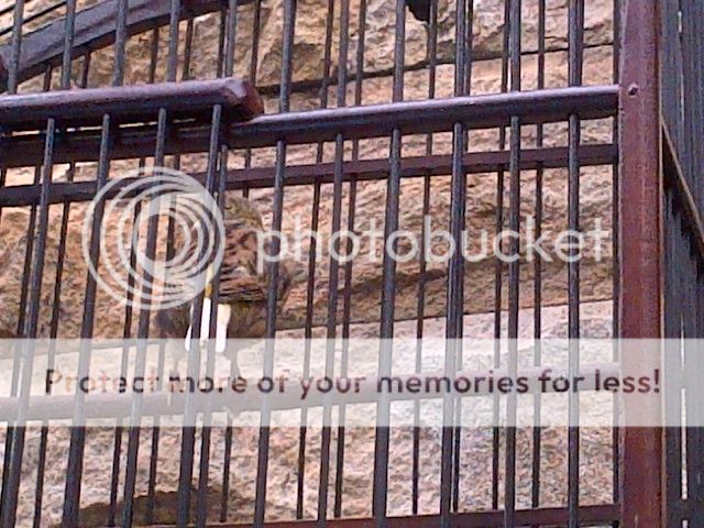 photo IMG-20140111-00959_zps71a7463f.jpg