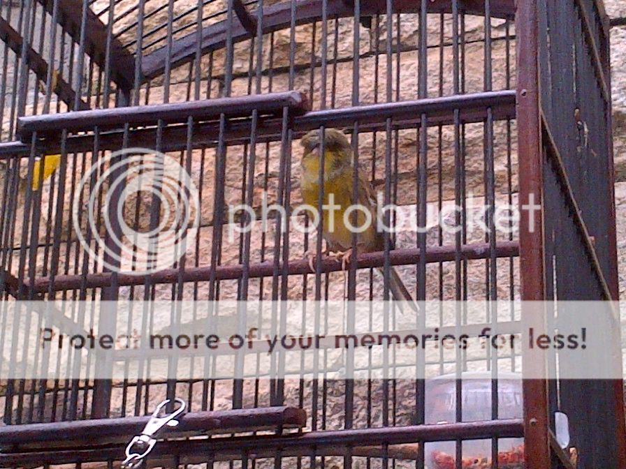 photo IMG-20140111-00960_zpsd280874c.jpg