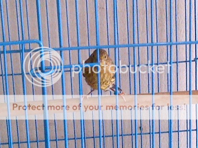 photo IMG-20140314-01141_zpsd268c5b1.jpg