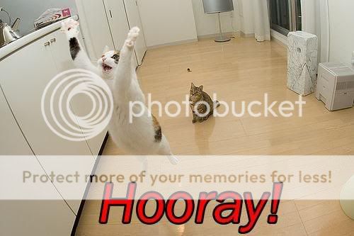 cat-saying-hooray.jpg