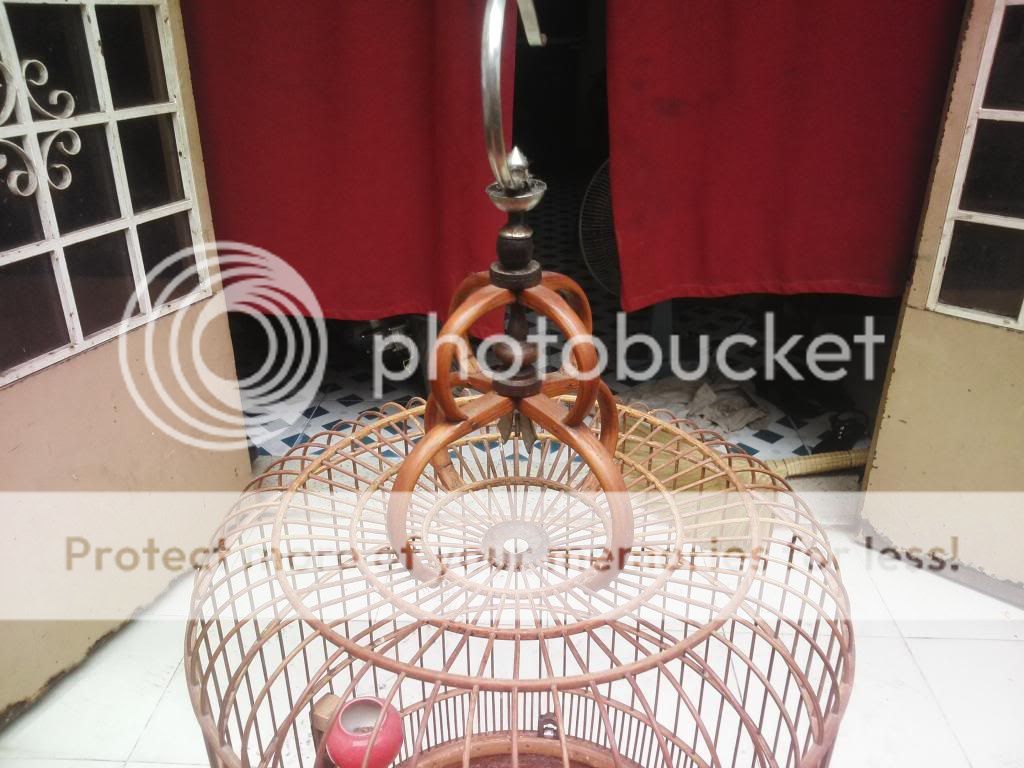 Lồng cầu dừa - 3