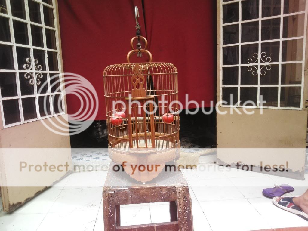 Lồng cầu dừa