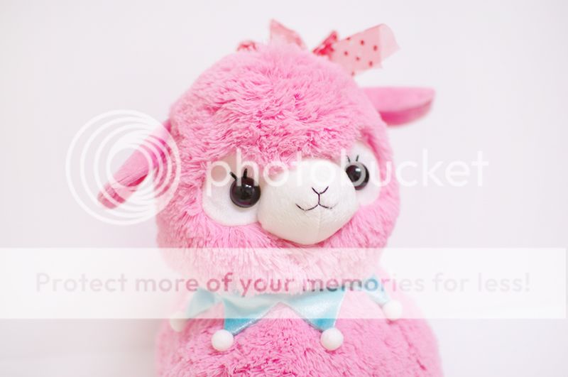 alpacasso2 photo APC029_strawberry_03_original_zpsf0be47b9.jpg