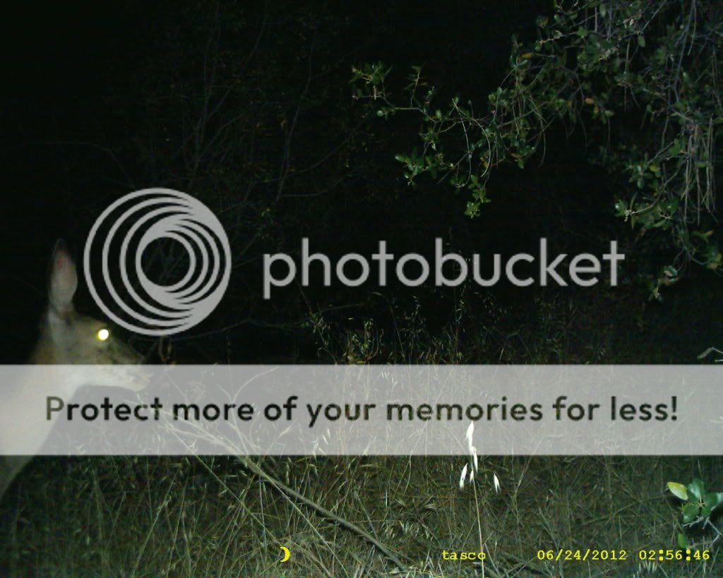 Posted Image