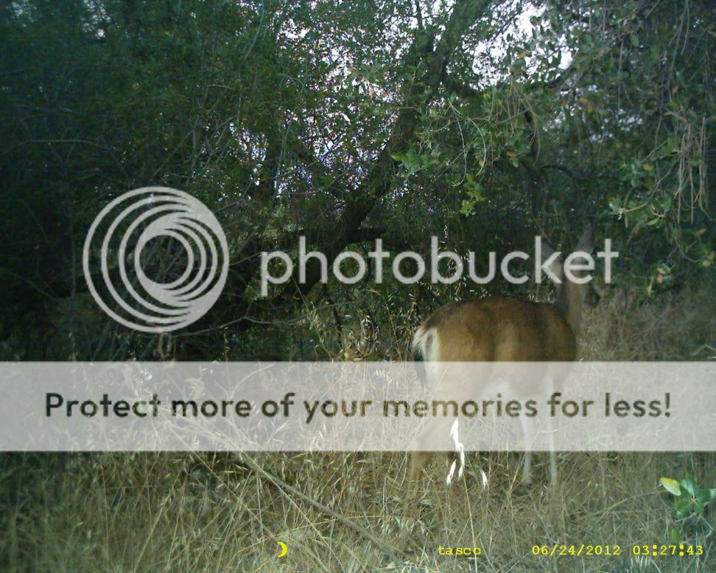 Posted Image