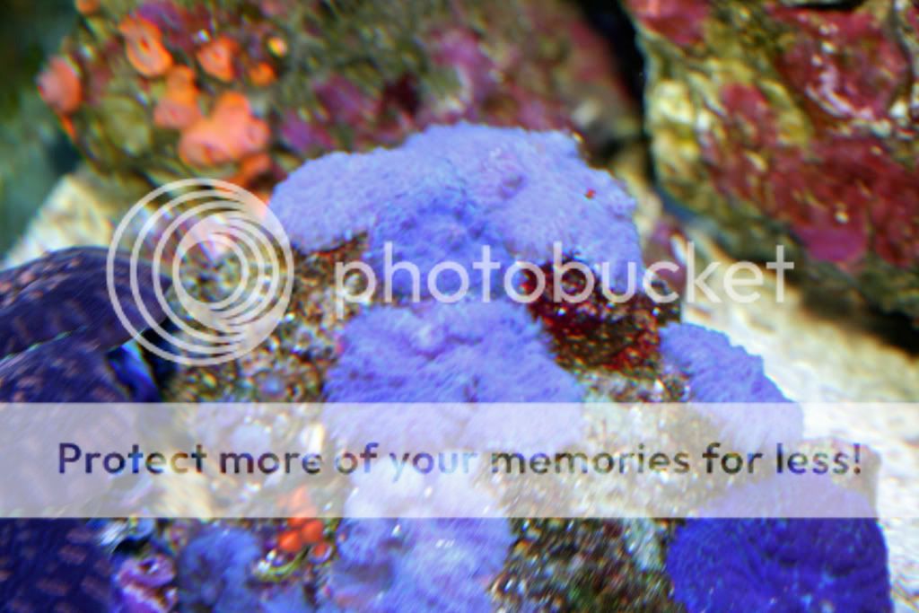 IMG_0121_edited.jpg