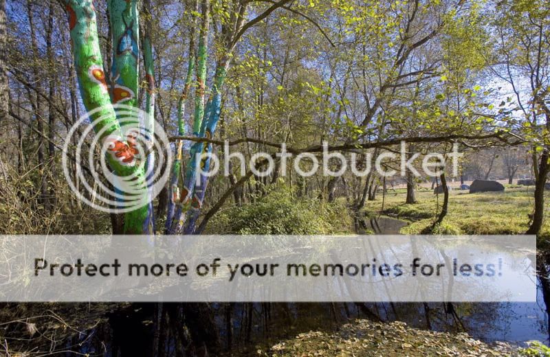 tg_carrusel_cabecera_grande_zpsa2ec4456.