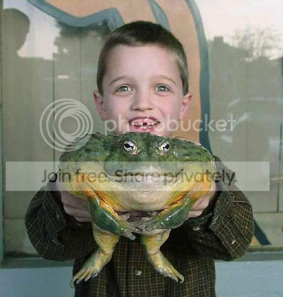 02.jpg