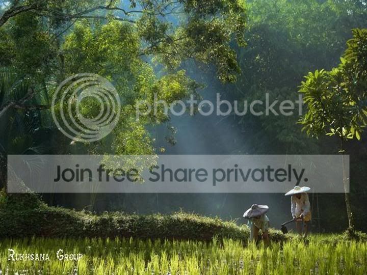 Slide7.jpg